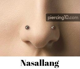 Piercing Nasallang