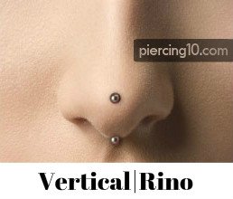 Piercing Vertical Rino
