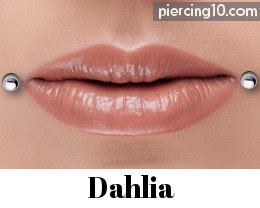 piercing dahlia
