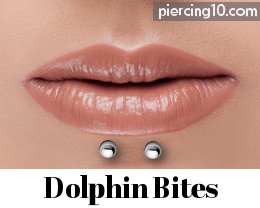 piercing dolphin bites