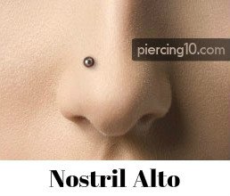 Piercing Nostril Alto