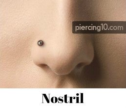 Piercing Nostril