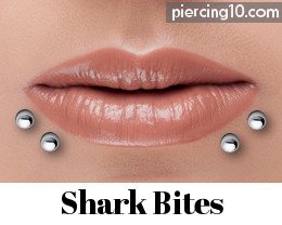 piercing shark bites