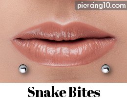piercing snake bites