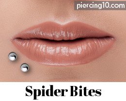 piercing spider bites